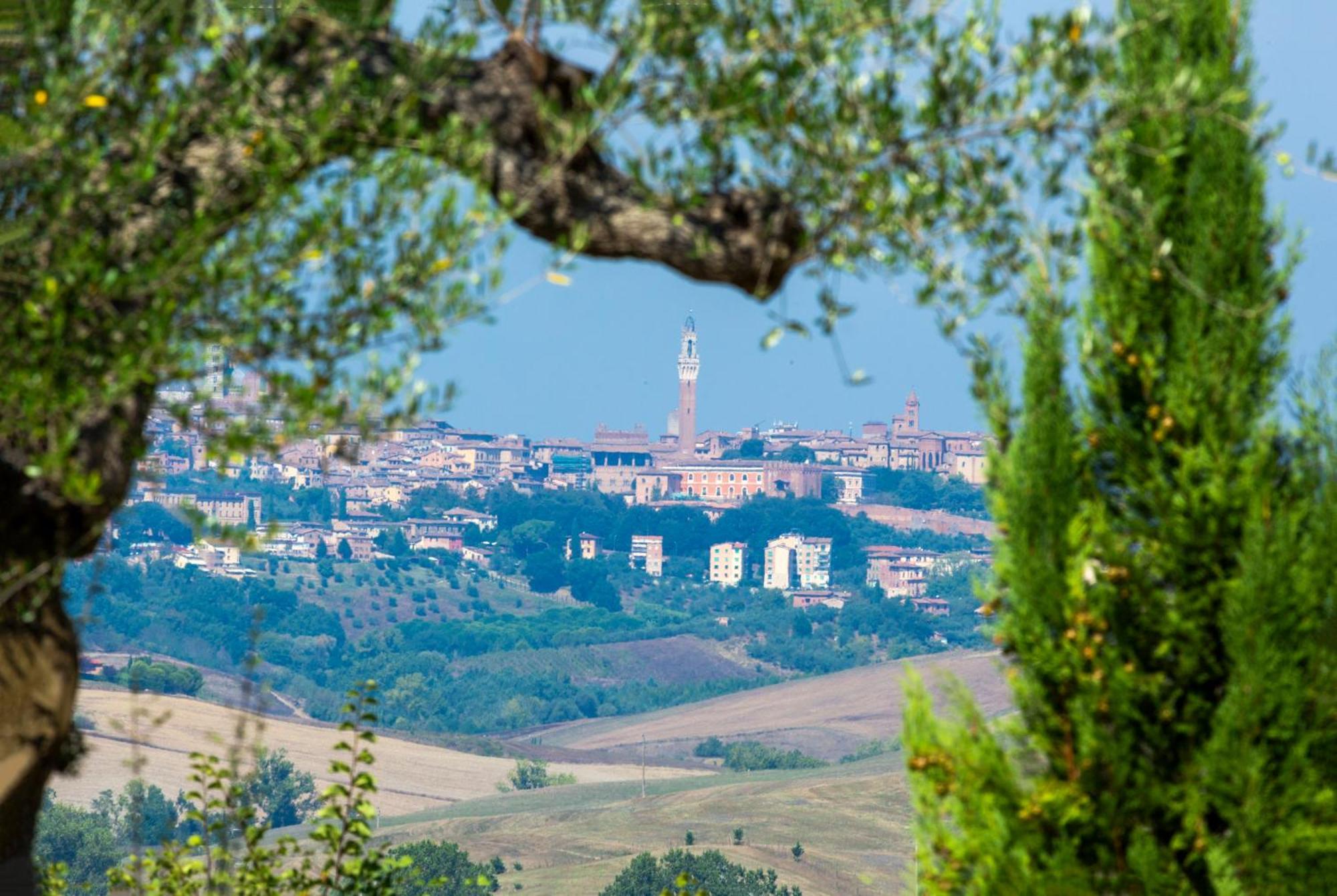 Casavacanze Vesta Isola d'Arbia Eksteriør bilde