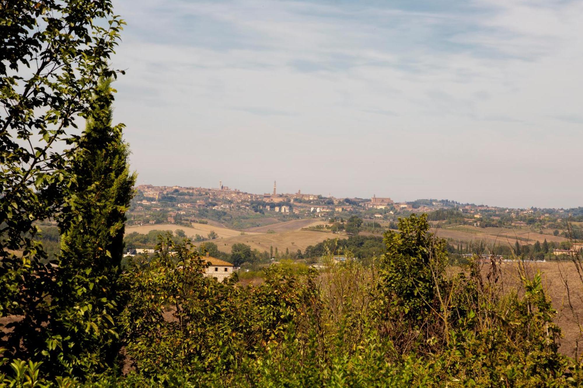 Casavacanze Vesta Isola d'Arbia Eksteriør bilde